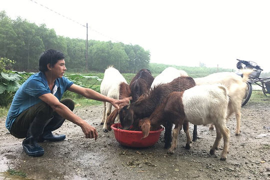 Phú Yên: Thực hiện nhiều mô hình giảm nghèo bền vững Phú Yên: Thực hiện nhiều mô hình giảm nghèo bền vững