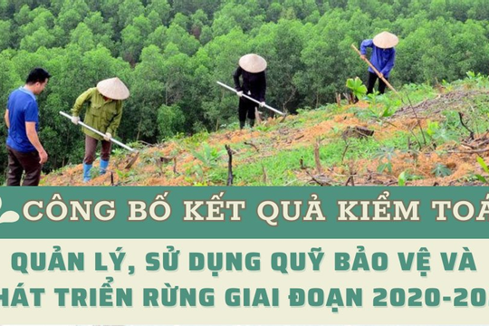 Infographic - Quản lý, sử dụng Quỹ Bảo vệ và phát triển rừng: Những phát hiện và kiến nghị nổi bật qua kiểm toán