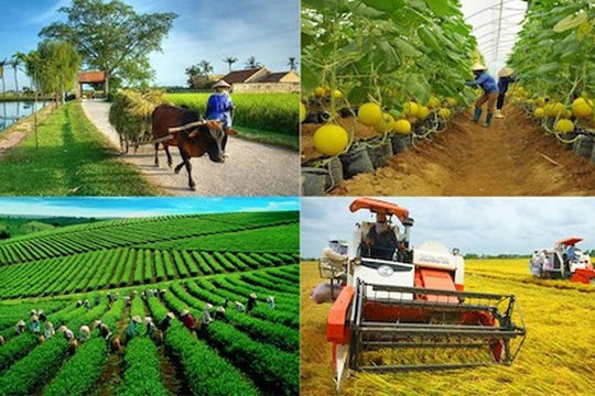 Xu hướng tăng trưởng GDP tích cực hơn Xu hướng tăng trưởng GDP tích cực hơn