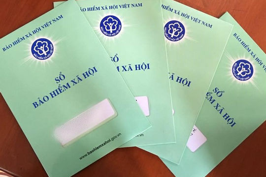 Khảo sát thi hành Luật Bảo hiểm xã hội