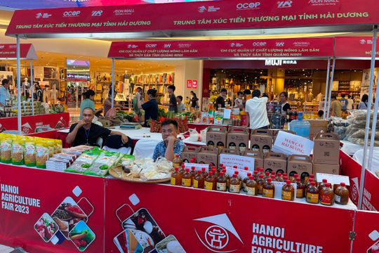 Hải Dương tăng cường thúc đẩy tiêu thụ các sản phẩm OCOP Hải Dương tăng cường thúc đẩy tiêu thụ các sản phẩm OCOP