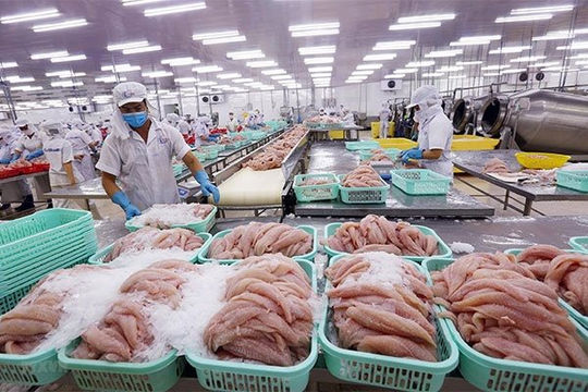 Cho vay đối với lâm sản, thủy sản đạt 5.500 tỷ đồng Cho vay đối với lâm sản, thủy sản đạt 5.500 tỷ đồng