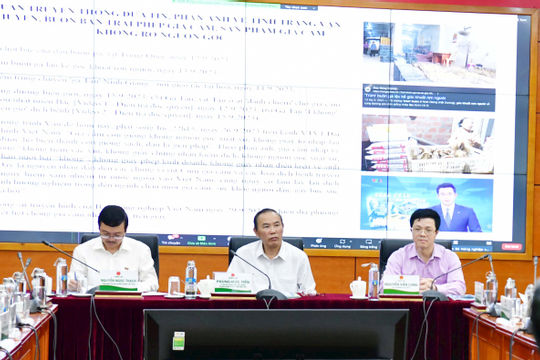 Gia tăng hiểm họa khi buôn lậu gia súc, gia cầm có diễn biến phức tạp