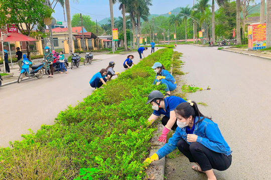 Bình Thuận tập trung thực hiện các tiêu chí, chỉ tiêu về nông thôn mới