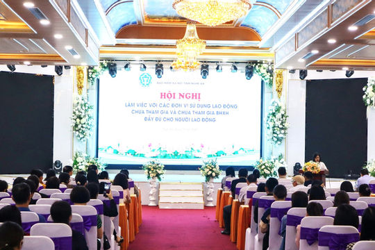 Đối thoại và tư vấn chính sách bảo hiểm cho các đơn vị sử dụng lao động