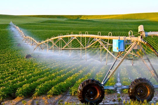 Đổi mới mô hình tăng trưởng nông nghiệp theo hướng xanh, bền vững