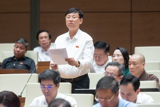 Quy định chặt chẽ, tránh trục lợi, thu gom đất trồng lúa Quy định chặt chẽ, tránh trục lợi, thu gom đất trồng lúa