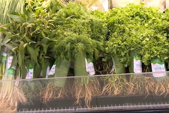 Hà Nội thúc đẩy nền kinh tế tuần hoàn và phát triển bền vững