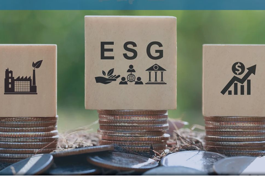 Kiểm toán nội bộ cần tham gia vào việc thiết lập và quản lý rủi ro chiến lược ESG