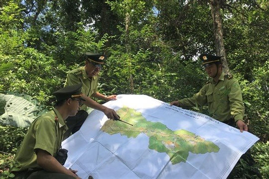 Tháo gỡ vướng mắc trong công tác quản lý, sử dụng kinh phí bảo vệ rừng