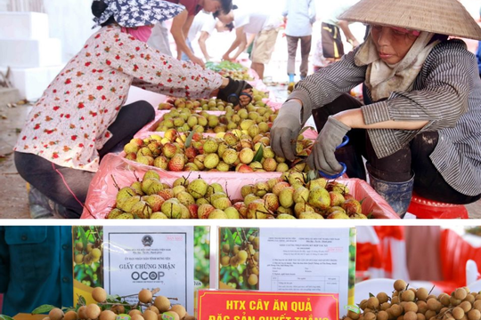 Hưng Yên nâng cao giá trị thương hiệu sản phẩm OCOP  Hưng Yên nâng cao giá trị thương hiệu sản phẩm OCOP