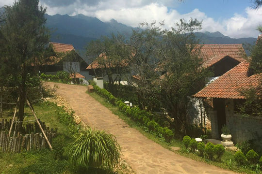 Lào Cai nỗ lực hoàn thành nhiệm vụ thu ngân sách Lào Cai nỗ lực hoàn thành nhiệm vụ thu ngân sách