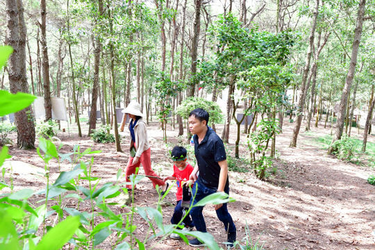 Để tài nguyên rừng thực sự là “vàng”