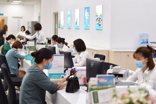 Thành phố Hồ Chí Minh: Nhiều giải pháp thu ngân sách nhà nước 