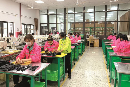 Kinh tế Ninh Bình có nhiều khởi sắc   Kinh tế Ninh Bình có nhiều khởi sắc