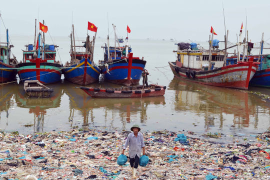 Gia tăng nguồn lợi tỷ đô và thúc đẩy phát triển bền vững từ nuôi biển