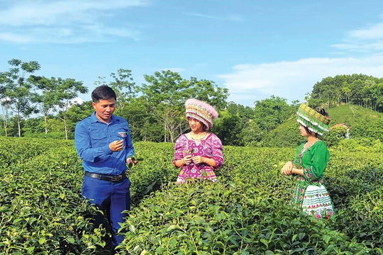 Tuyên Quang chủ động thực hiện Chương trình xây dựng nông thôn mới 