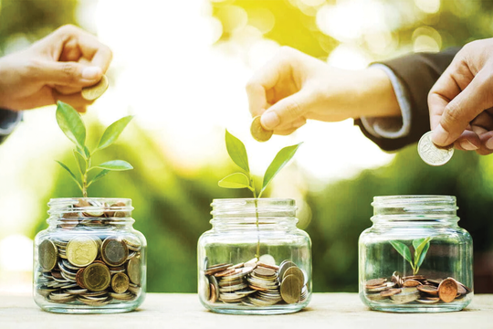 Chuyên gia khuyến nghị 5 lĩnh vực ưu tiên của nguồn vốn tín dụng xanh