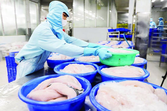 Tín dụng lâm - thủy sản: Linh hoạt cách làm để đẩy mạnh cho vay