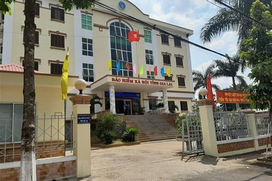 Gia Lai: tăng cường thực hiện pháp luật và phòng - chống gian lận, trục lợi quỹ bảo hiểm
