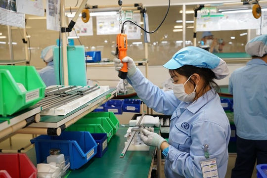 Ngừng sử dụng hóa đơn với doanh nghiệp trốn đóng bảo hiểm xã hội: Cần đánh giá kỹ tác động