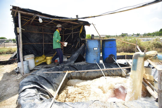 Dự báo xâm nhập mặn xuất hiện sớm, nguy cơ ảnh hưởng lớn đến sản xuất  Dự báo xâm nhập mặn xuất hiện sớm, nguy cơ ảnh hưởng lớn đến sản xuất