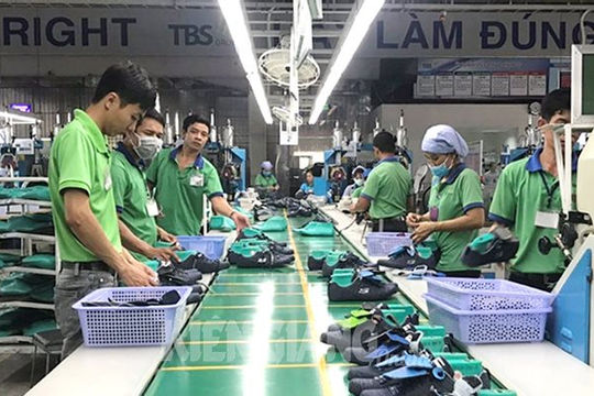 Năm 2023, Kiên Giang có 1.500 doanh nghiệp thành lập mới