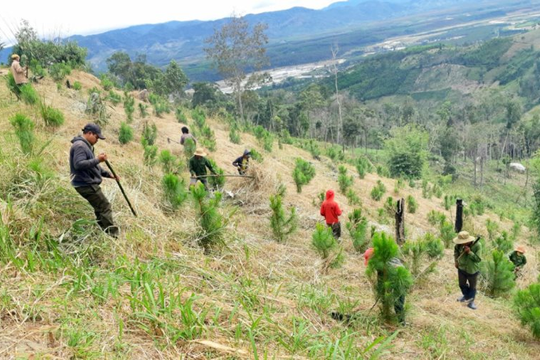 Kiên Giang: Rà soát để chấn chỉnh công tác bảo vệ và phát triển rừng Kiên Giang: Rà soát để chấn chỉnh công tác bảo vệ và phát triển rừng