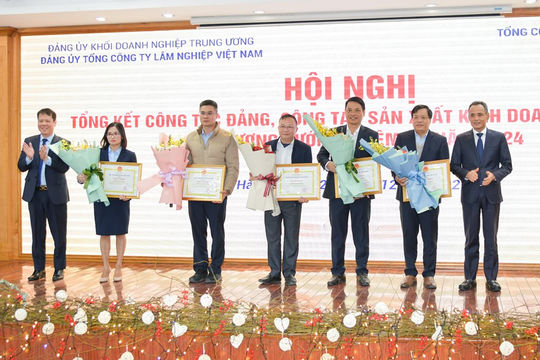 Lợi nhuận sau thuế của Tổng công ty Lâm nghiệp Việt Nam ước đạt 105% kế hoạch năm