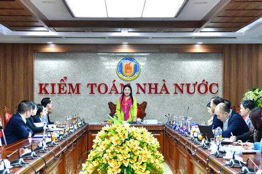 Hướng dẫn kiểm toán phối hợp đa quốc gia theo chuẩn mực và thông lệ quốc tế