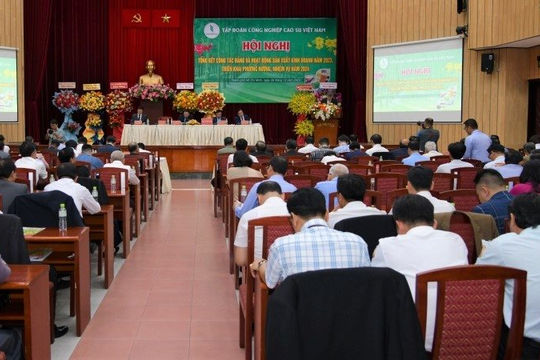 Lợi nhuận trước thuế hợp nhất của Tập đoàn Công nghiệp Cao su ước đạt 4.015 tỷ đồng