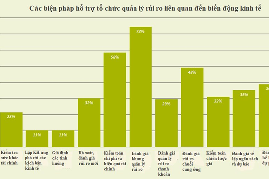 Kiểm toán nội bộ cần chủ động ứng phó với những biến động của nền kinh tế