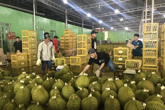 Xuất khẩu nông lâm thủy sản năm 2024: Hé lộ nhiều tín hiệu lạc quan 