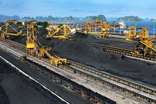 Năm 2023, Tập đoàn Công nghiệp Than khoáng sản Việt Nam nộp ngân sách tăng 41%