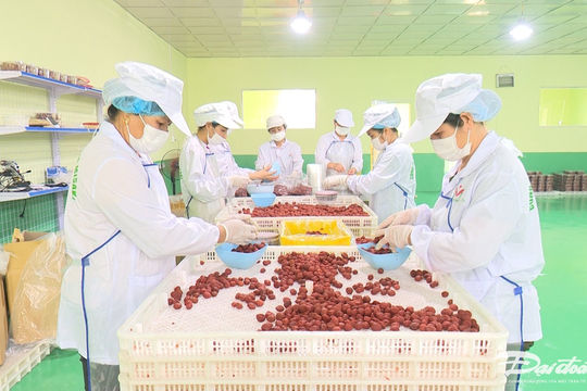 Bắc Kạn thu ngân sách năm 2023 đạt hơn 837 tỷ đồng Bắc Kạn thu ngân sách năm 2023 đạt hơn 837 tỷ đồng