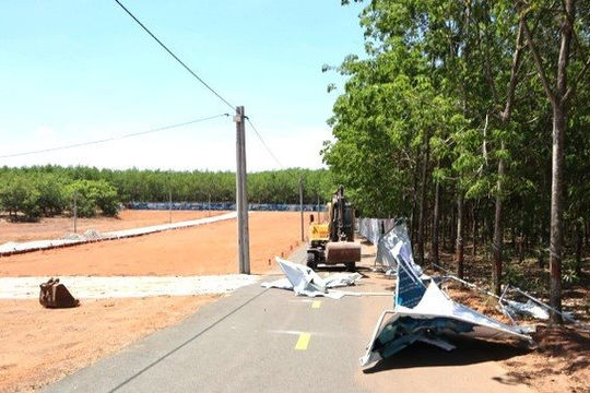 Bình Phước xử lý dự án không đưa đất vào sử dụng, chậm tiến độ kéo dài