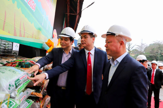 Supe Lâm Thao: Không ngừng đổi mới, sáng tạo