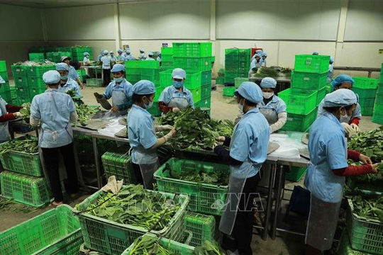 Đẩy mạnh công nghiệp hóa nông nghiệp