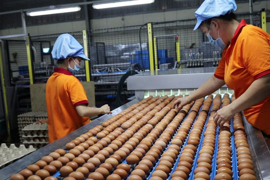 Tây Ninh: Bình ổn thị trường mặt hàng thiết yếu trong dịp Tết  Tây Ninh: Bình ổn thị trường mặt hàng thiết yếu trong dịp Tết