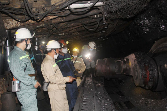 Những điểm tích cực, hạn chế trong “bức tranh” lao động việc làm