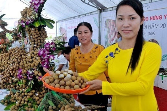 Nhiều lợi ích từ chương trình OCOP ở Hưng Yên Nhiều lợi ích từ chương trình OCOP ở Hưng Yên