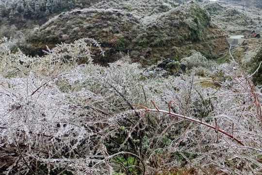 Nhiệt độ giảm xuống dưới 0 độ C, băng giá xuất hiện tại Hà Giang