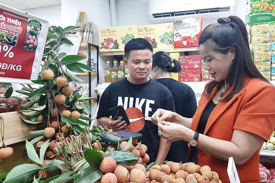 Hải Dương sẽ đẩy mạnh xúc tiến tiêu thụ sản phẩm có lợi thế xuất khẩu Hải Dương sẽ đẩy mạnh xúc tiến tiêu thụ sản phẩm có lợi thế xuất khẩu