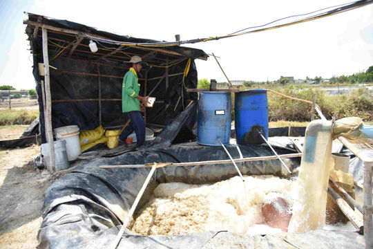 ADB cam kết hỗ trợ nông nghiệp Việt Nam thực hiện chuyển đổi xanh