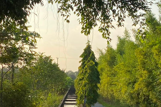 Sẽ tính đúng, tính đủ giá dịch vụ thủy lợi