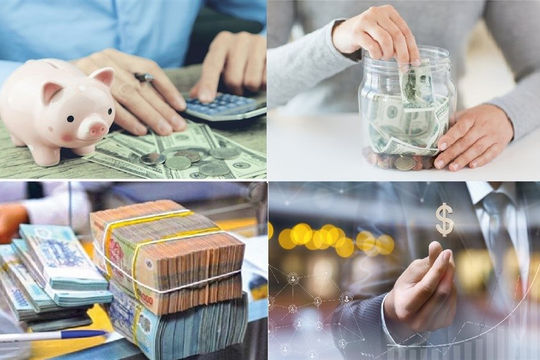 Chương trình tổng thể của Chính phủ về thực hành tiết kiệm, chống lãng phí năm 2024