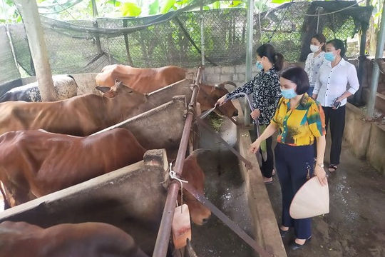 Bắc Kạn: Giảm tỷ lệ hộ nghèo đa chiều 

