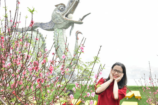 Đường hoa Thủ đô khoác “áo mới” đón Xuân 