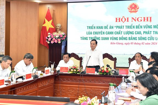 10 chữ để “Đề án 1 triệu ha lúa chất lượng cao” đạt mục tiêu