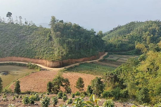 Thái Nguyên: Chuyển đổi trên 19ha rừng trồng để thực hiện 3 dự án